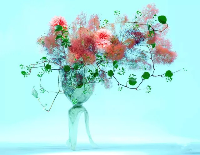 <a href='/' target='_blank'><u>上海美莱</u></a>5.20