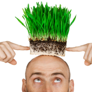 上海植发哪里好,如何植发