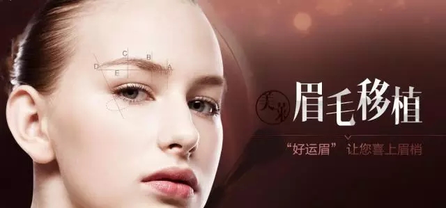 袁玉坤眉毛移植