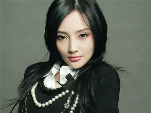 明星代表李小璐