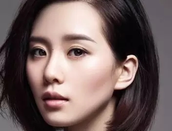 明星代表刘诗诗