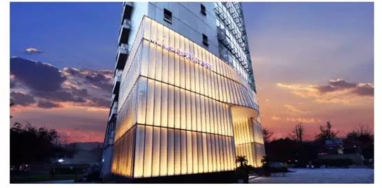 为什么会掉头发?