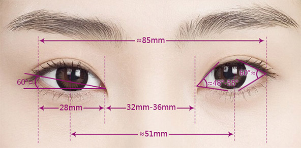 上海美莱双眼皮修复