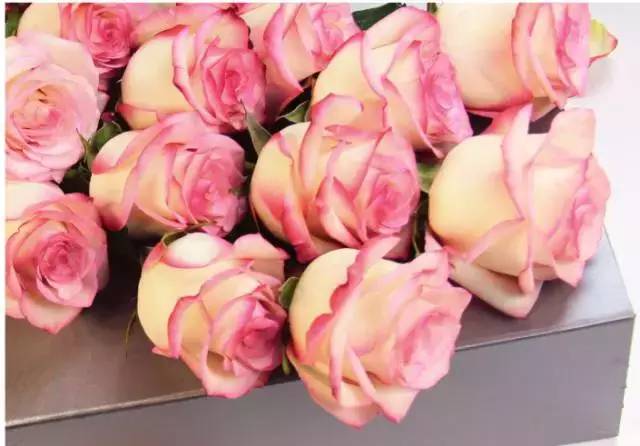 花美情浓,美莱助您爱传七夕