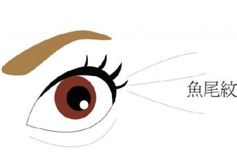 鱼尾纹