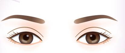 双眼皮过宽