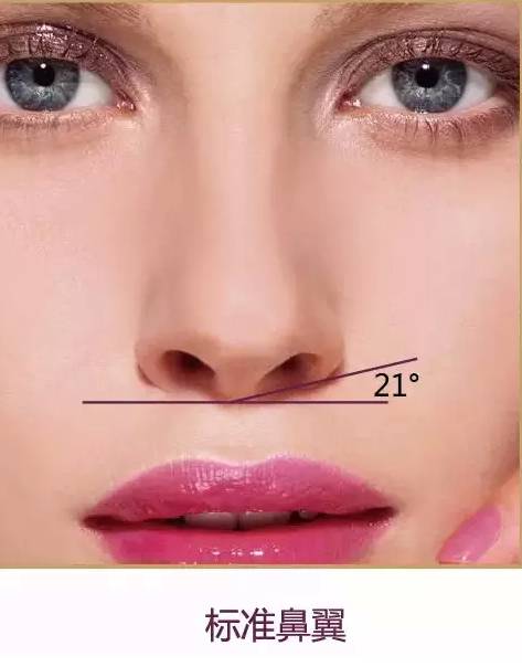 标准鼻翼