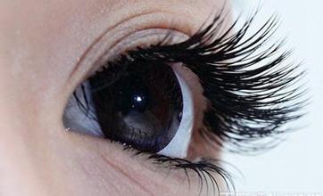 上海睫毛种植能维持多久