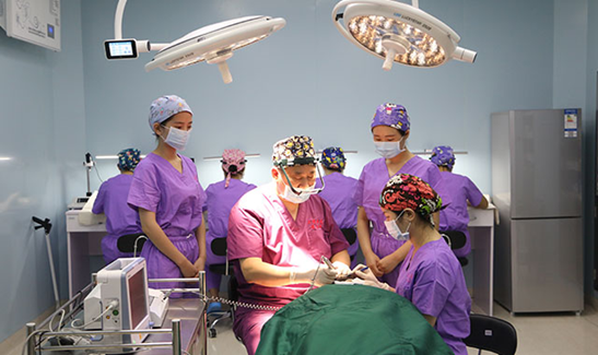 恭喜美莱毛发移植团队荣获上海美莱明星团队奖