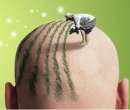 <a href='/' target='_blank'><u>上海美莱</u></a>植发