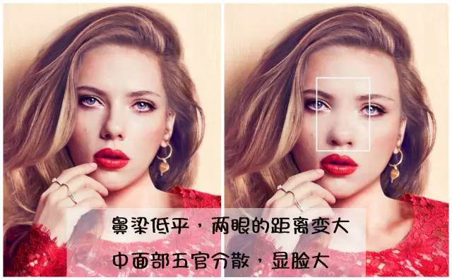 美莱ArtLine艺塑鼻雕