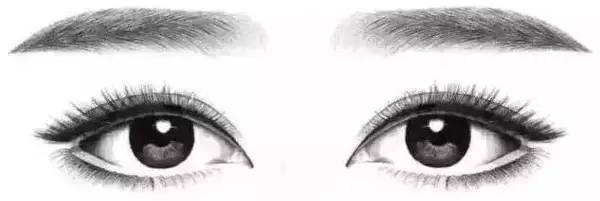 上海美莱半纹眉