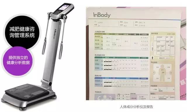 人体成分分析仪专业数据分析