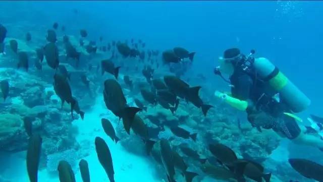 牙齿矫正的重要性