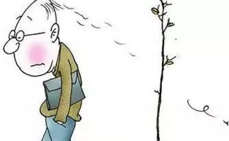 植发去哪家医院