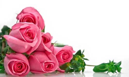 上海美莱以玫瑰之名邂逅七夕 