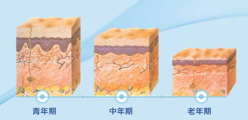 <a href='/' target='_blank'><u>上海美莱</u></a>水光针让你的肌肤喝饱水