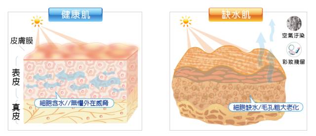 上海美莱注射水光针补水