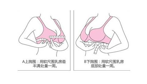 测量胸部大小