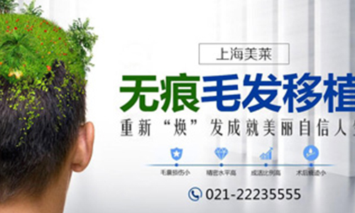 <a href='/' target='_blank'><u>上海美莱</u></a>植发