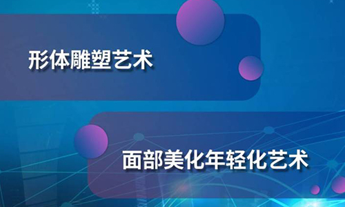 美莱医院承办的2017CCAM中国医疗美容大会