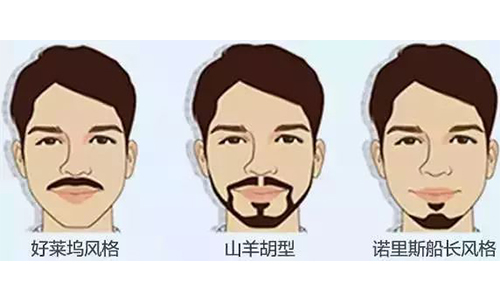 上海美莱种植胡须