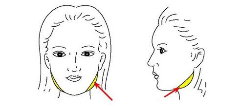 <a href='/' target='_blank'><u>上海美莱</u></a>自体脂肪丰苹果肌