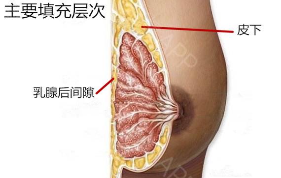 上海美莱自体脂肪丰苹果肌效果自然吗