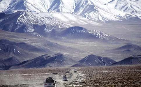 达拉斯鼻修复术：全球大师的杰作