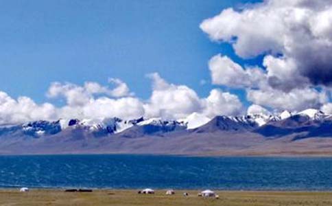 上海美莱万人脱毛节,全年包脱低至99元起