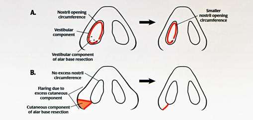 <a href='/' target='_blank'><u>上海美莱</u></a>医院注射瘦脸针