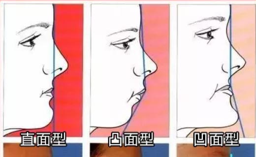 授牌仪式,上海美莱线雕修复基地正式成立