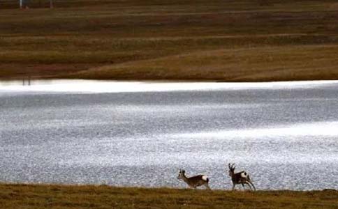 水光针补水效果真的好吗