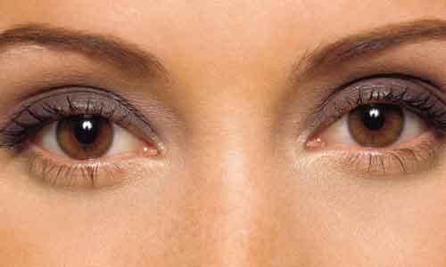 <a href='/' target='_blank'><u>上海美莱</u></a>植发专家袁玉坤