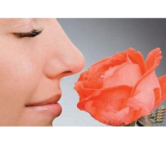 <a href='/' target='_blank'><u>上海美莱</u></a>纹绣女神朱宏荣获K-BEAUTY美容大赛