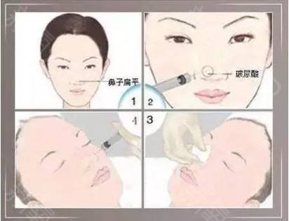 <a href='/' target='_blank'><u>上海美莱</u></a>与签约，《优雅冻龄 定格时光》