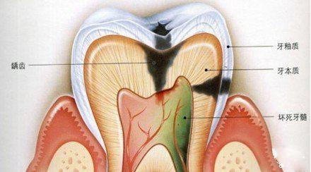 上海美莱与签约，《优雅冻龄 定格时光》
