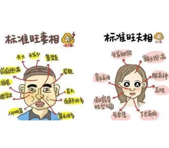 上海美莱暑期"牙齿矫正奖学金"，分数当钱用