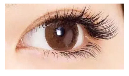 上海美莱周年庆盛典成功举办，美莱生日快乐