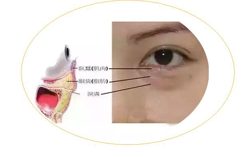 上海做隆鼻哪家医院好，就选美莱