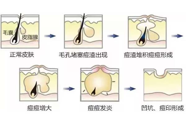 上海美莱焕发医美之光,成就眼鼻整形新地标