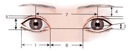 上海做鼻头缩小哪家医院正规