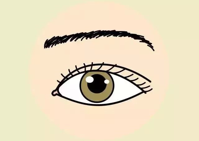 上海美莱“远征探美”守护可可西里