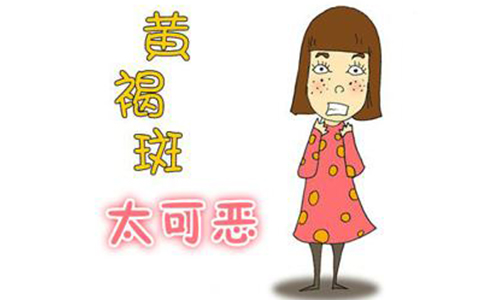 美莱举办乳房整形与内窥镜技术论坛会