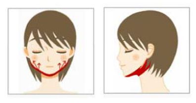 <a href='/' target='_blank'><u>上海美莱</u></a>远征探美系列可可西里巡护行动正式启程