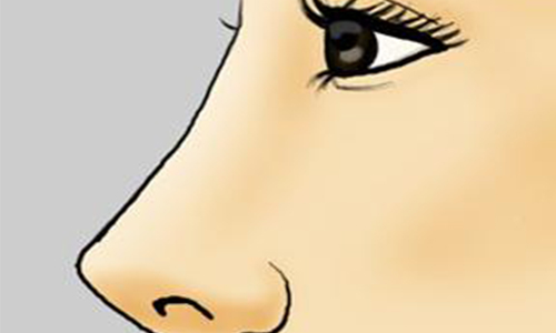 美莱被艾尔建授予“钻石医院”称号