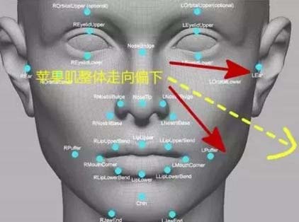 <a href='/' target='_blank'><u>上海美莱</u></a>医生