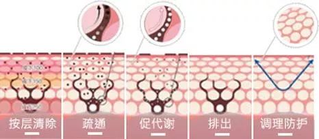 美莱杜医生、袁玉坤出席“第十五届中国美容与整形医师大会”