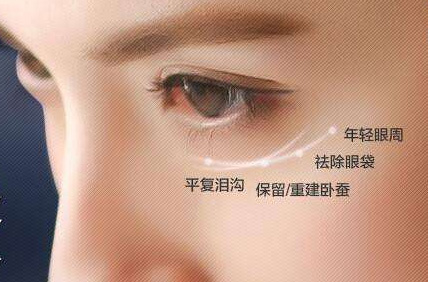 美莱杜医生、袁玉坤出席“第十五届中国美容与整形医师大会”