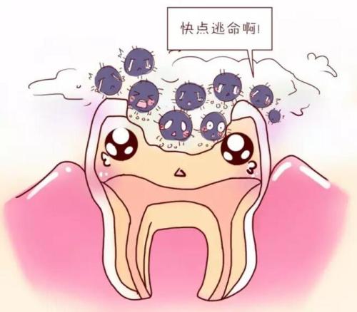 上海美莱周年庆，双眼皮，隆鼻整形钜惠